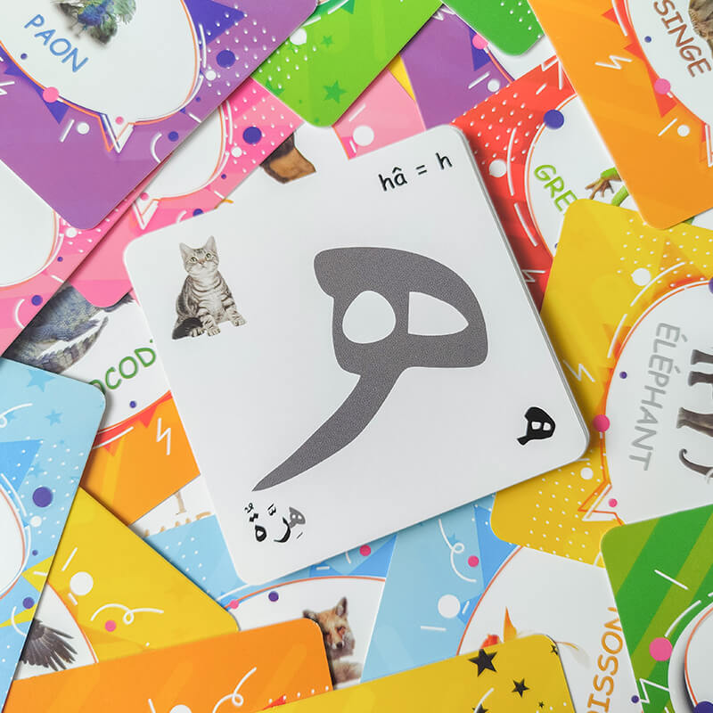 Flash Cards